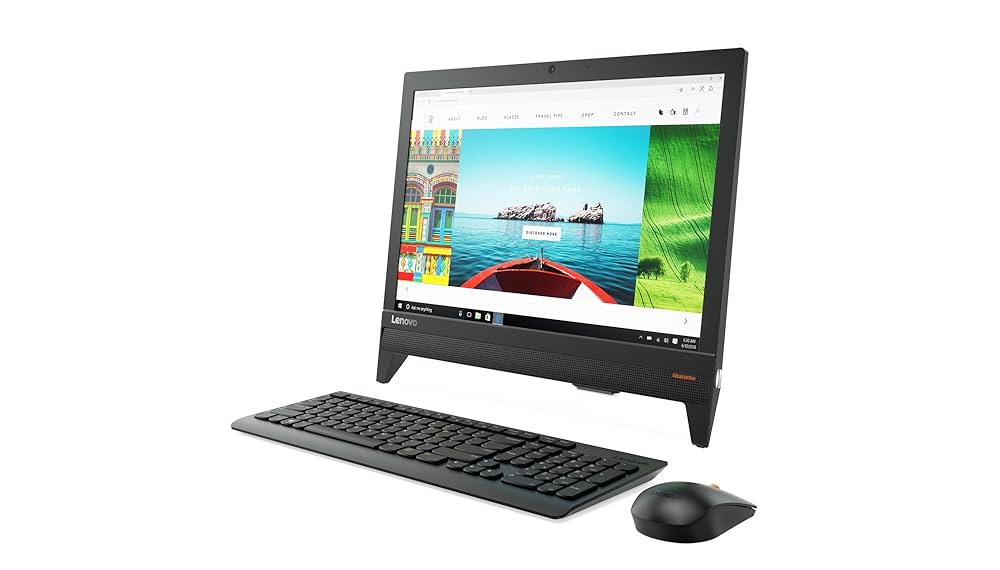 Lenovo 310 20IAP AIO 19.5-inch All-in-One Desktop (Cel J3355
